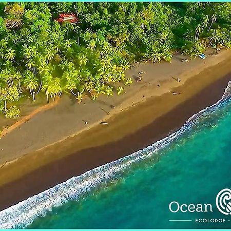 Ocean Forest Ecolodge San Pedrillo Екстериор снимка