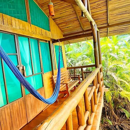 Ocean Forest Ecolodge San Pedrillo Екстериор снимка