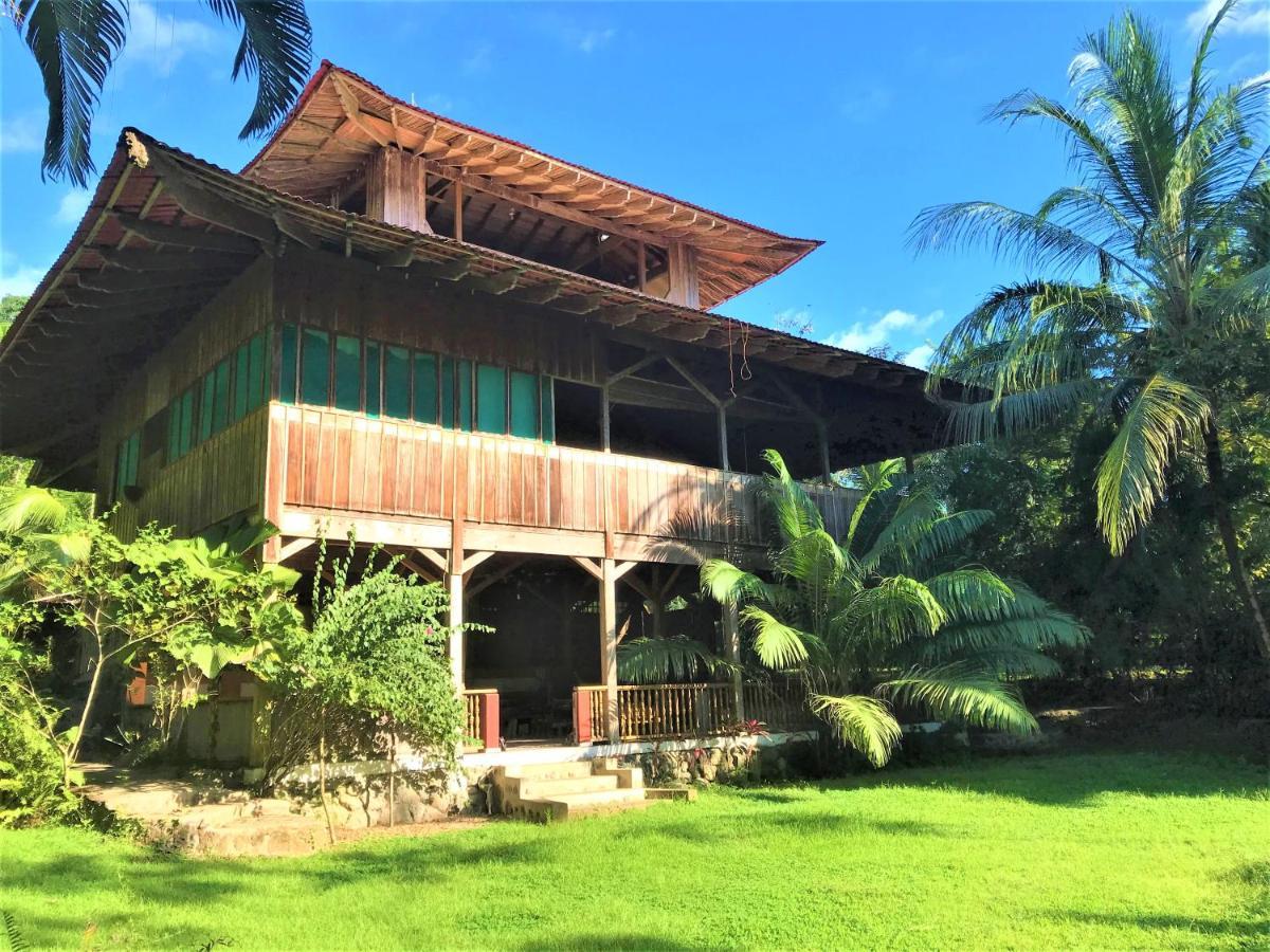 Ocean Forest Ecolodge San Pedrillo Екстериор снимка