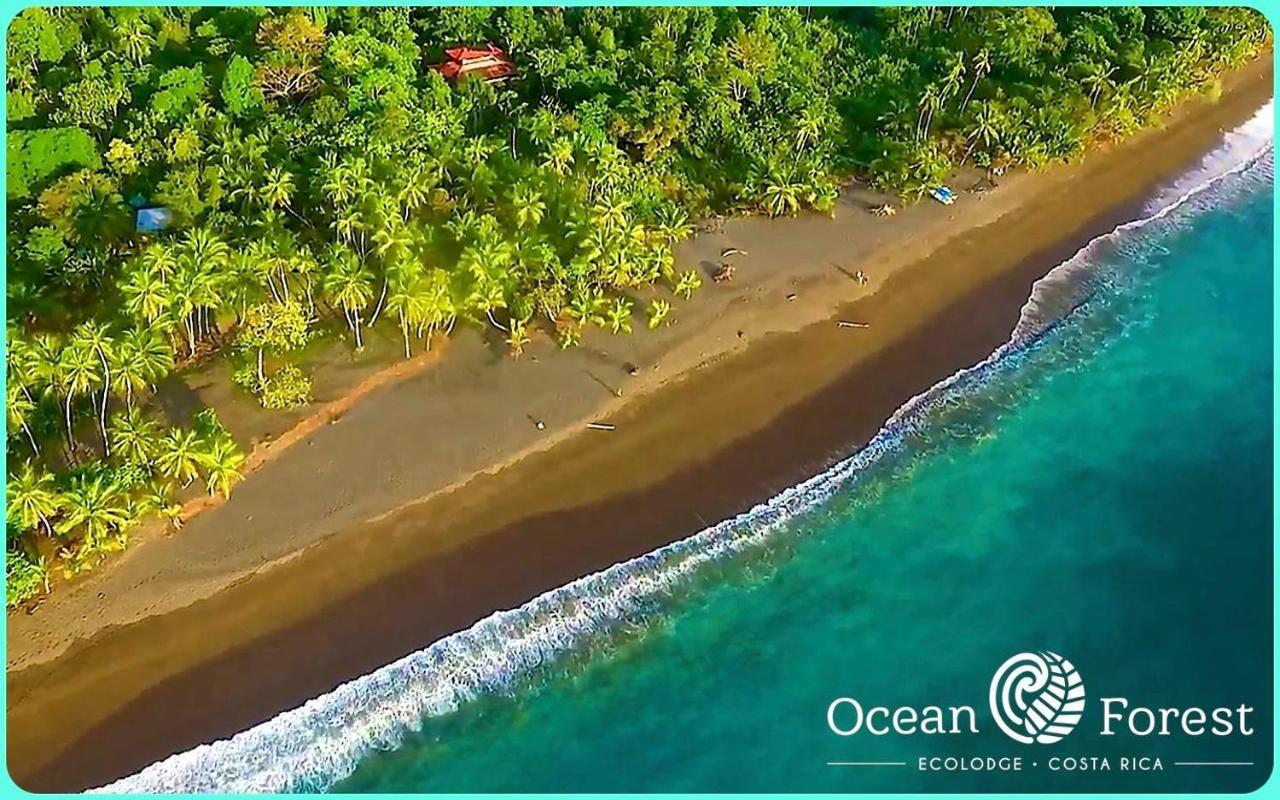 Ocean Forest Ecolodge San Pedrillo Екстериор снимка