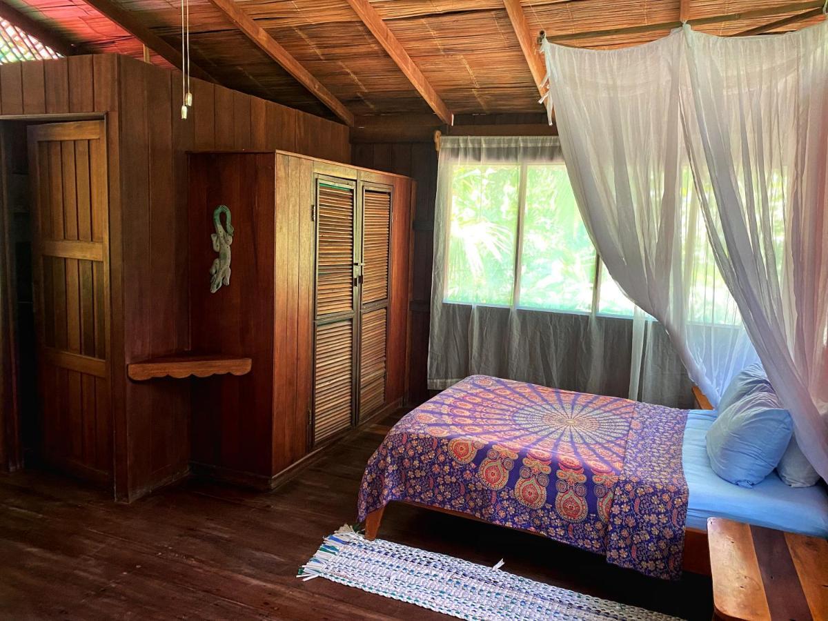 Ocean Forest Ecolodge San Pedrillo Екстериор снимка
