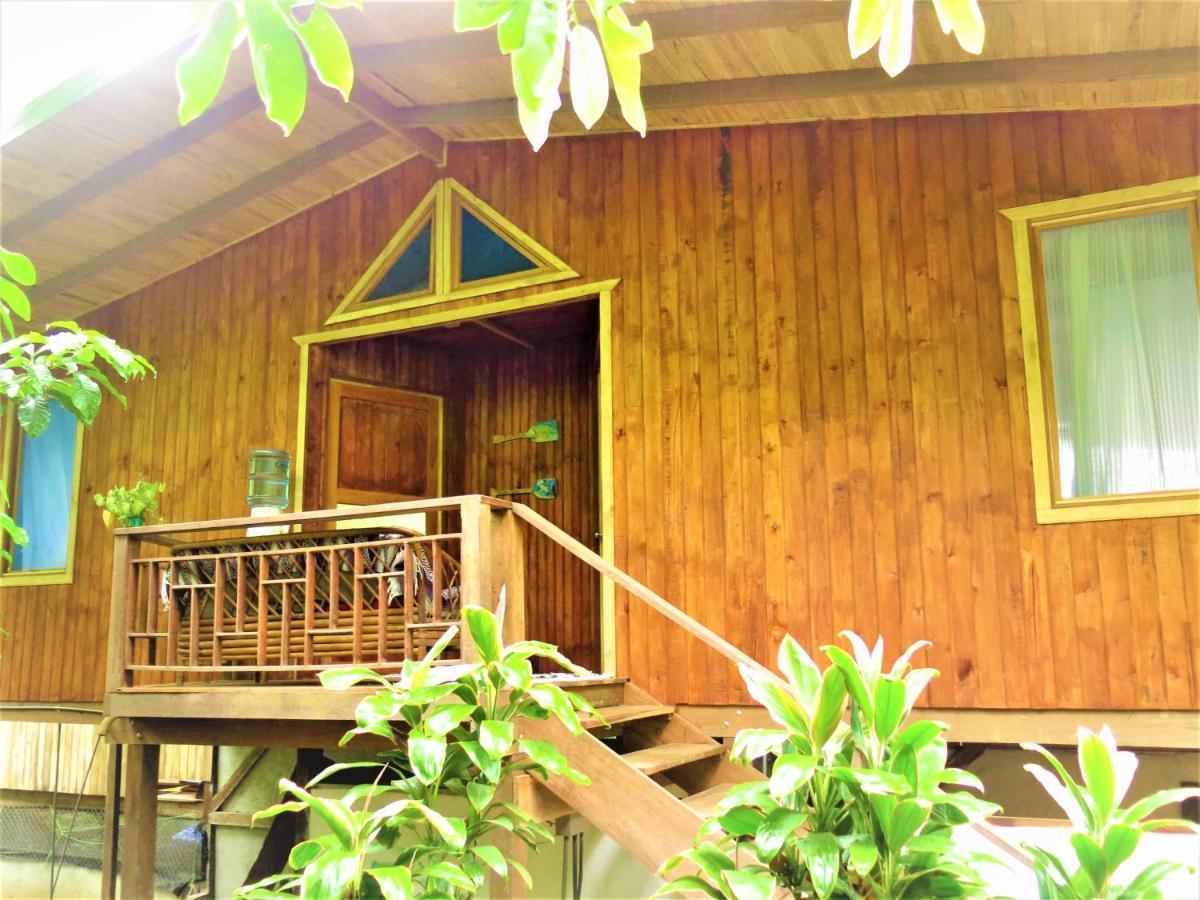 Ocean Forest Ecolodge San Pedrillo Екстериор снимка