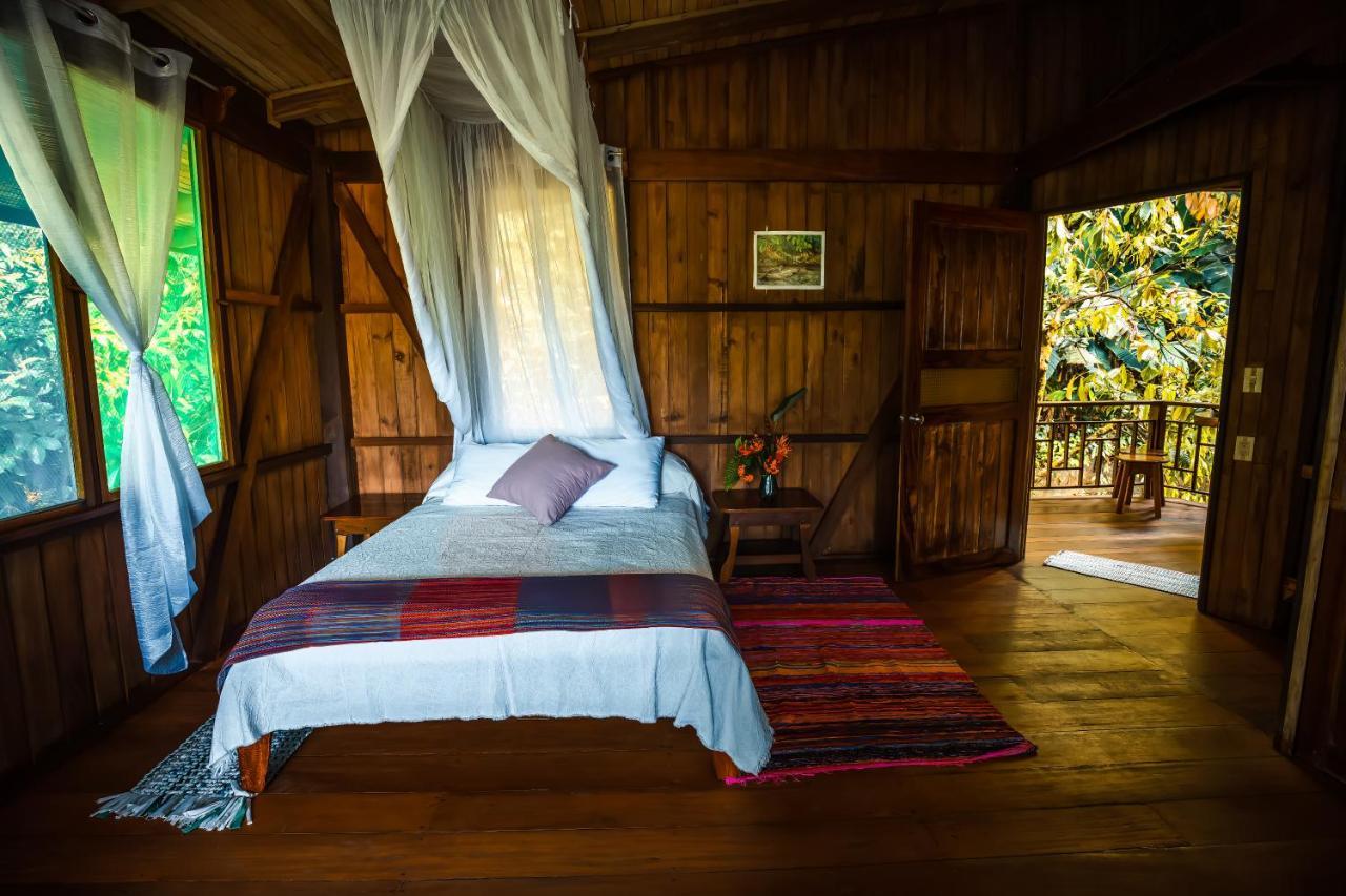 Ocean Forest Ecolodge San Pedrillo Екстериор снимка