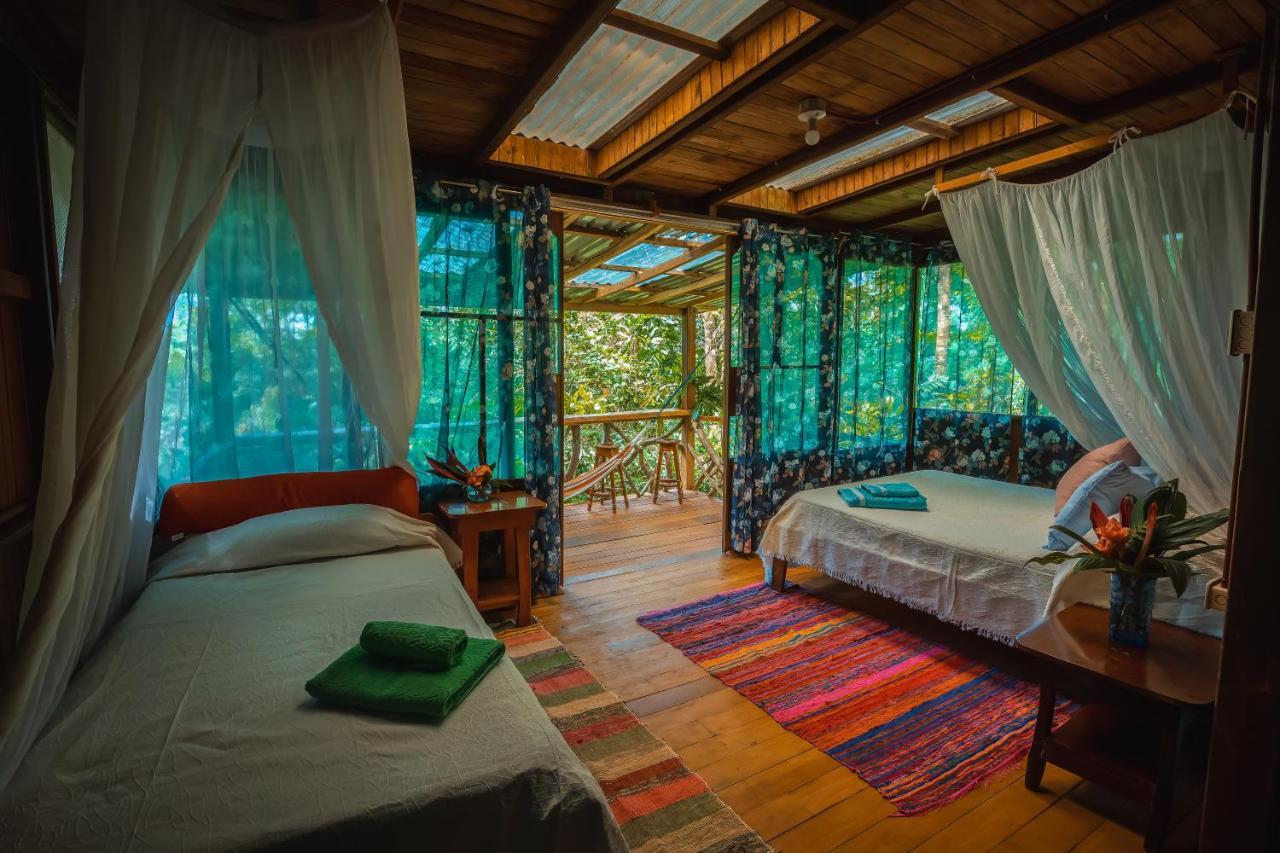 Ocean Forest Ecolodge San Pedrillo Екстериор снимка