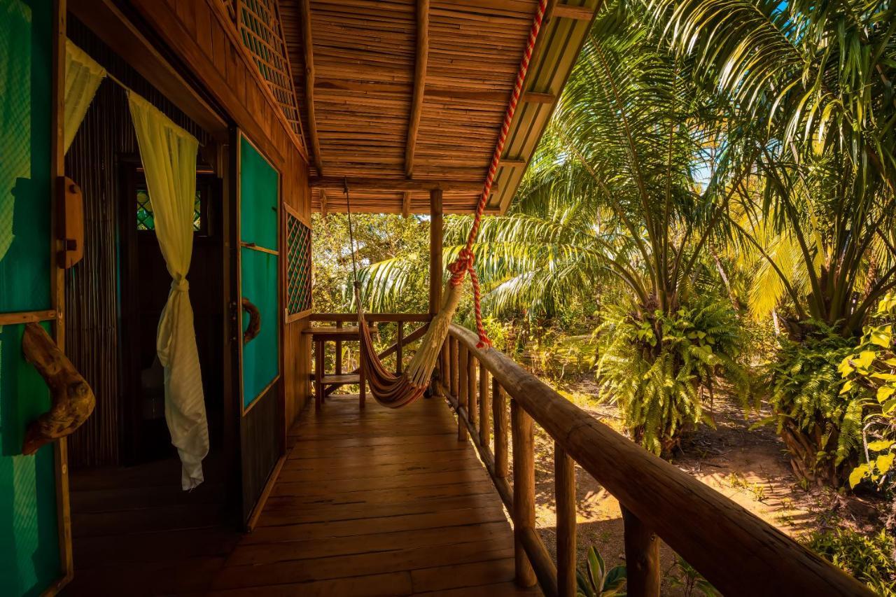 Ocean Forest Ecolodge San Pedrillo Екстериор снимка