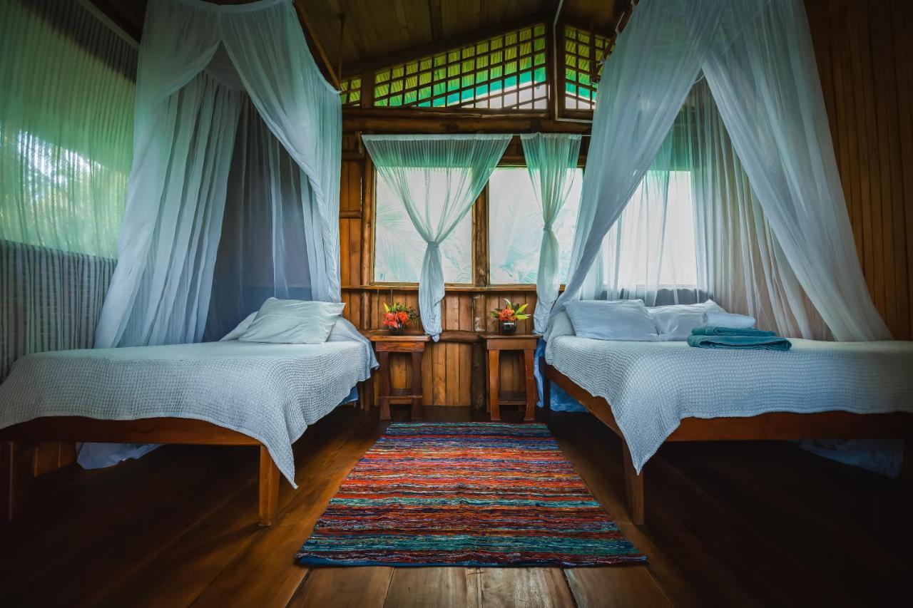 Ocean Forest Ecolodge San Pedrillo Екстериор снимка
