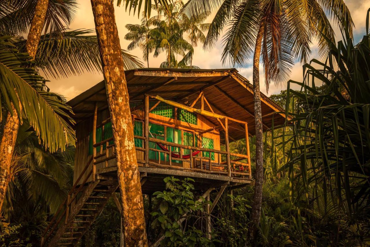 Ocean Forest Ecolodge San Pedrillo Екстериор снимка