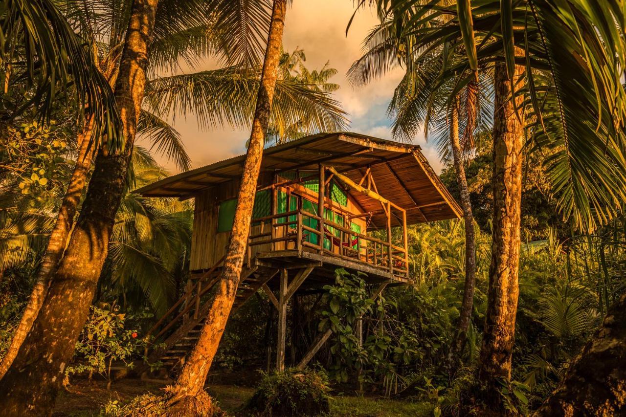 Ocean Forest Ecolodge San Pedrillo Екстериор снимка