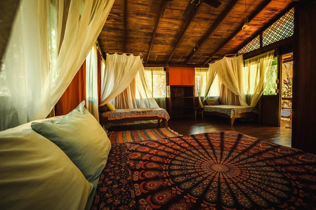 Ocean Forest Ecolodge San Pedrillo Екстериор снимка