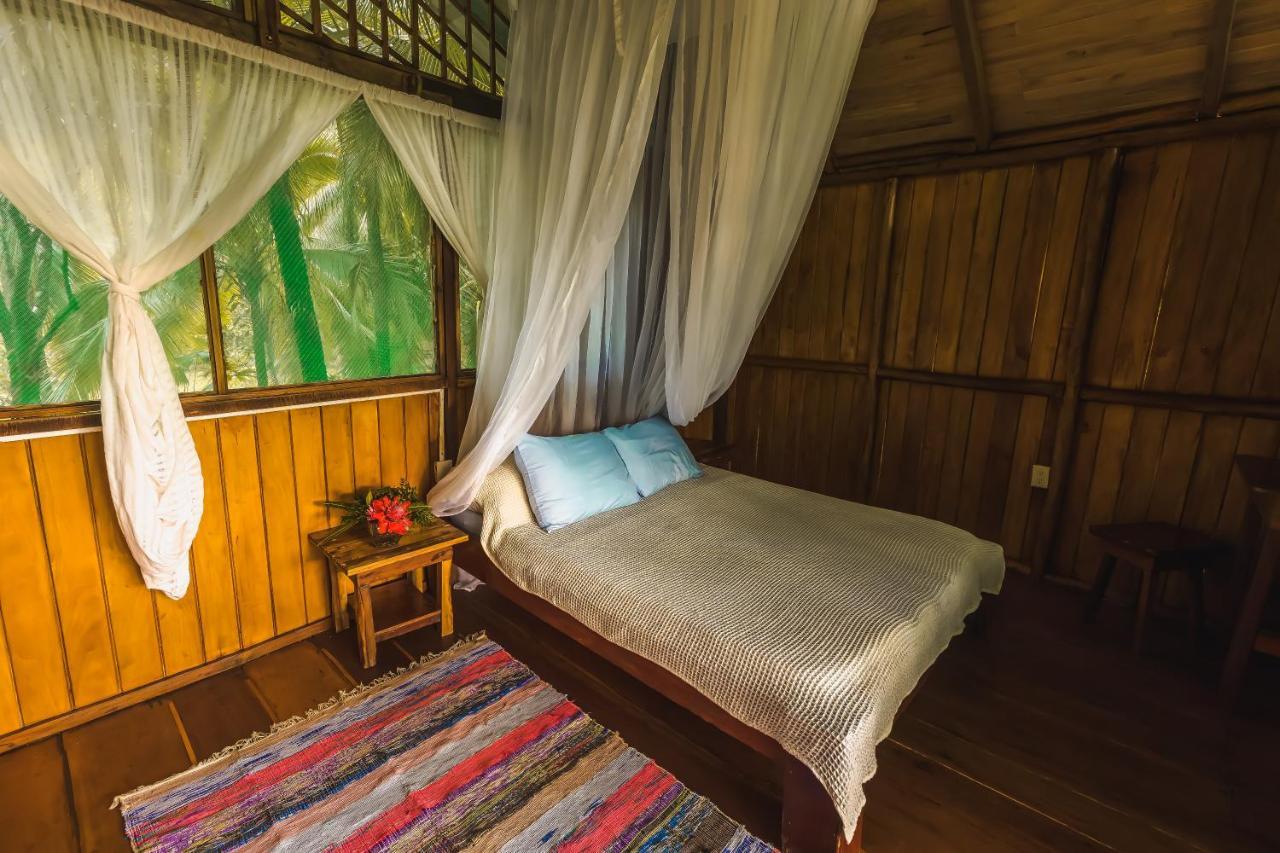Ocean Forest Ecolodge San Pedrillo Екстериор снимка