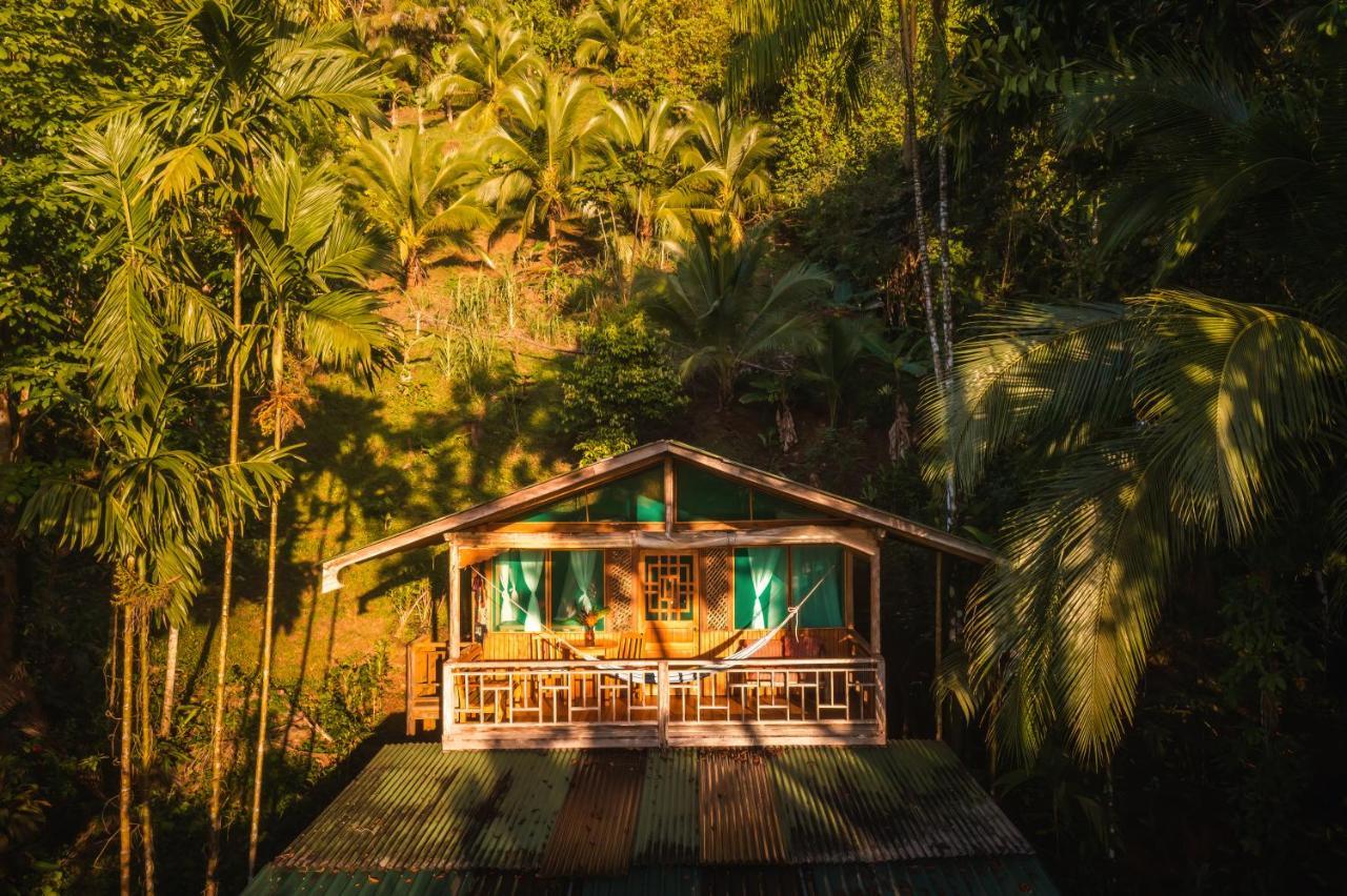 Ocean Forest Ecolodge San Pedrillo Екстериор снимка