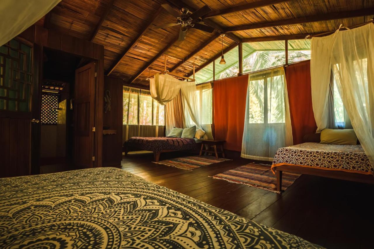 Ocean Forest Ecolodge San Pedrillo Екстериор снимка