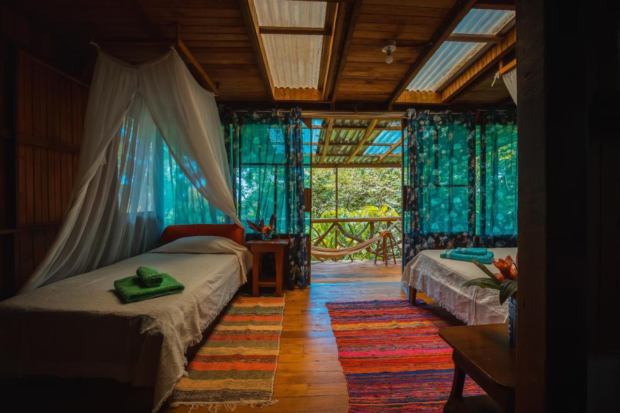 Ocean Forest Ecolodge San Pedrillo Екстериор снимка