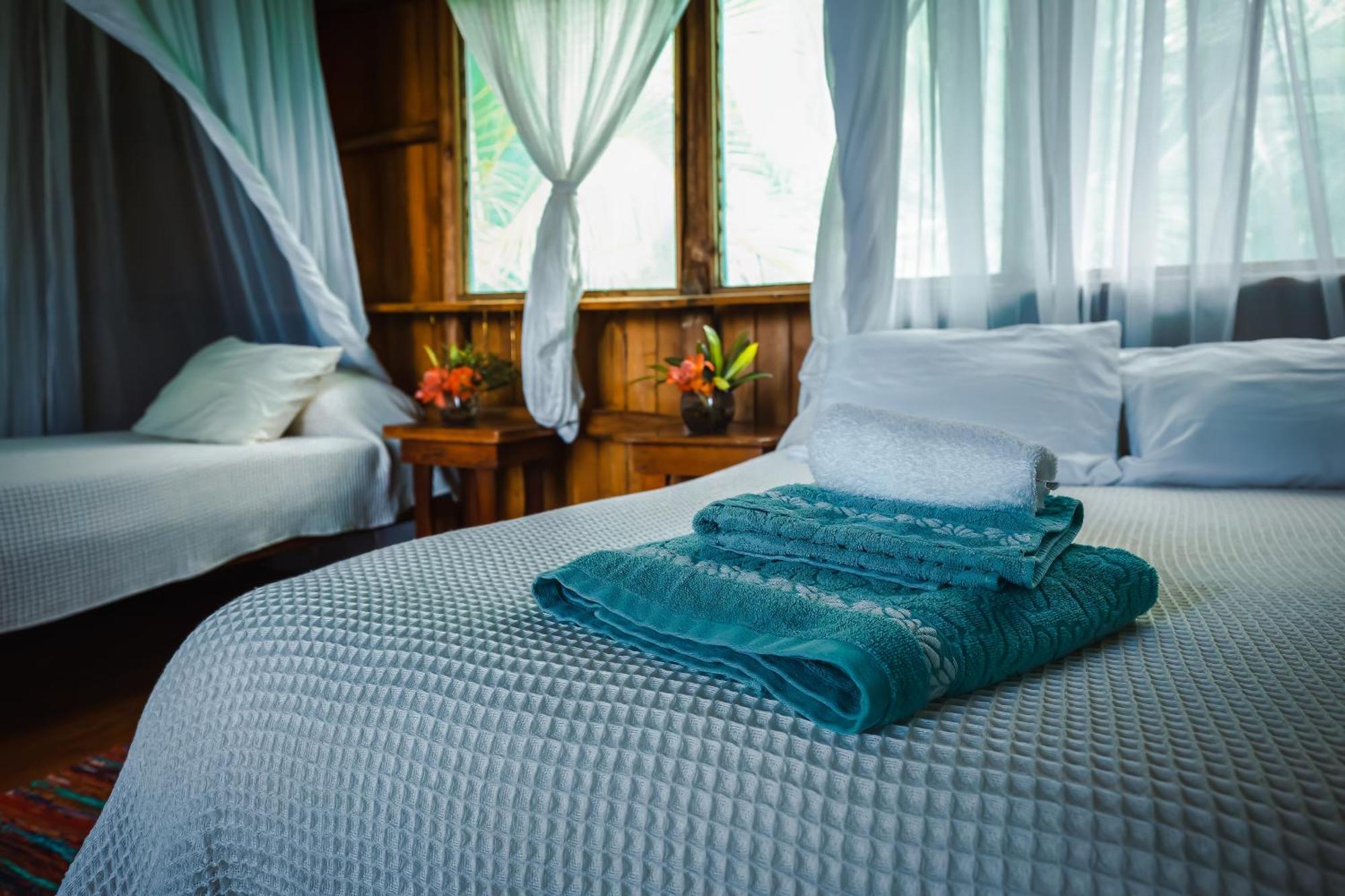 Ocean Forest Ecolodge San Pedrillo Екстериор снимка
