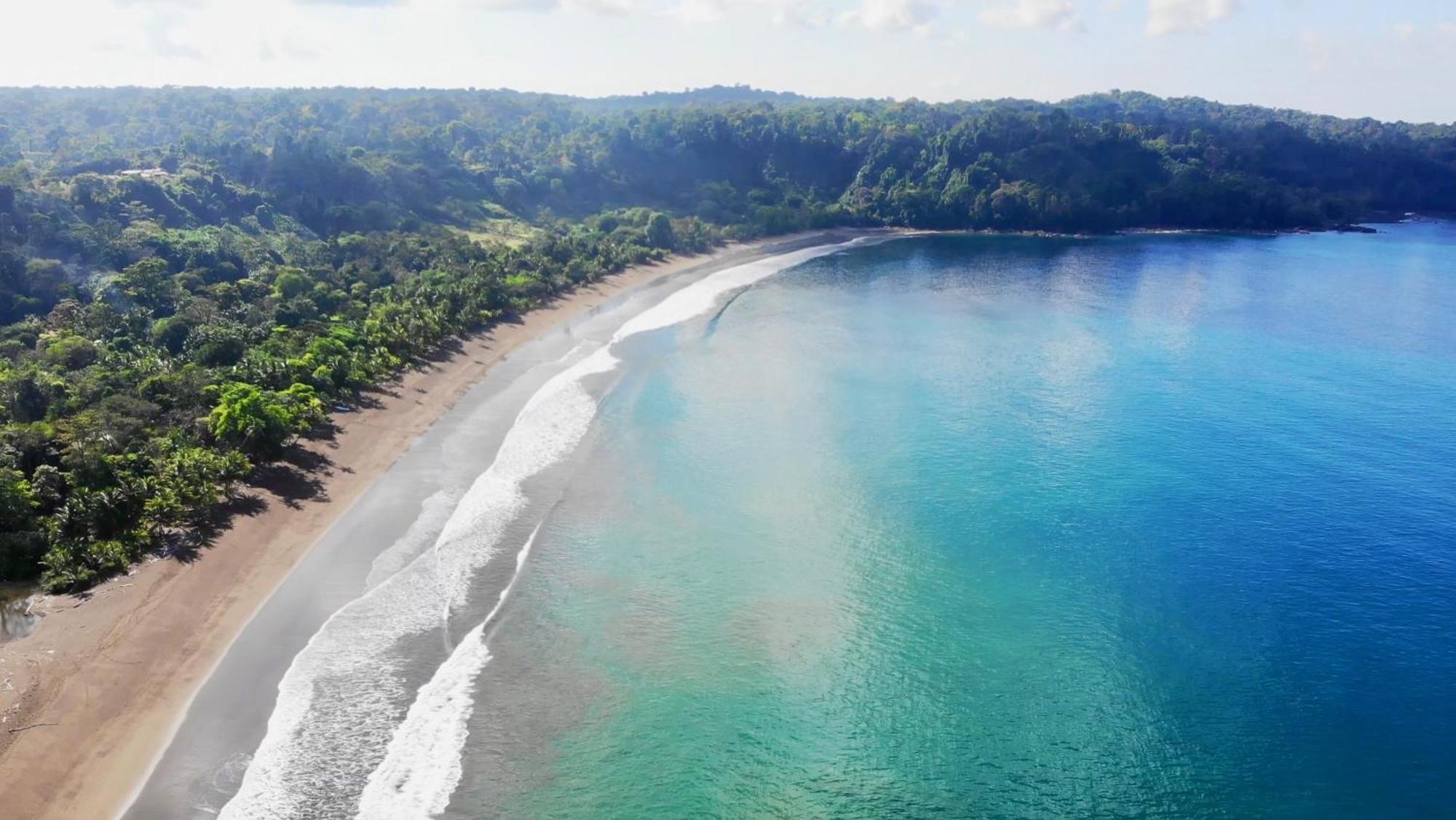 Ocean Forest Ecolodge San Pedrillo Екстериор снимка