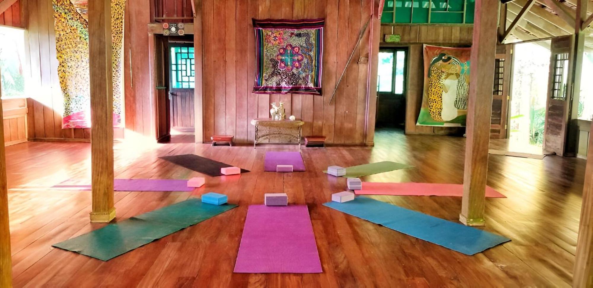 Ocean Forest Ecolodge San Pedrillo Екстериор снимка