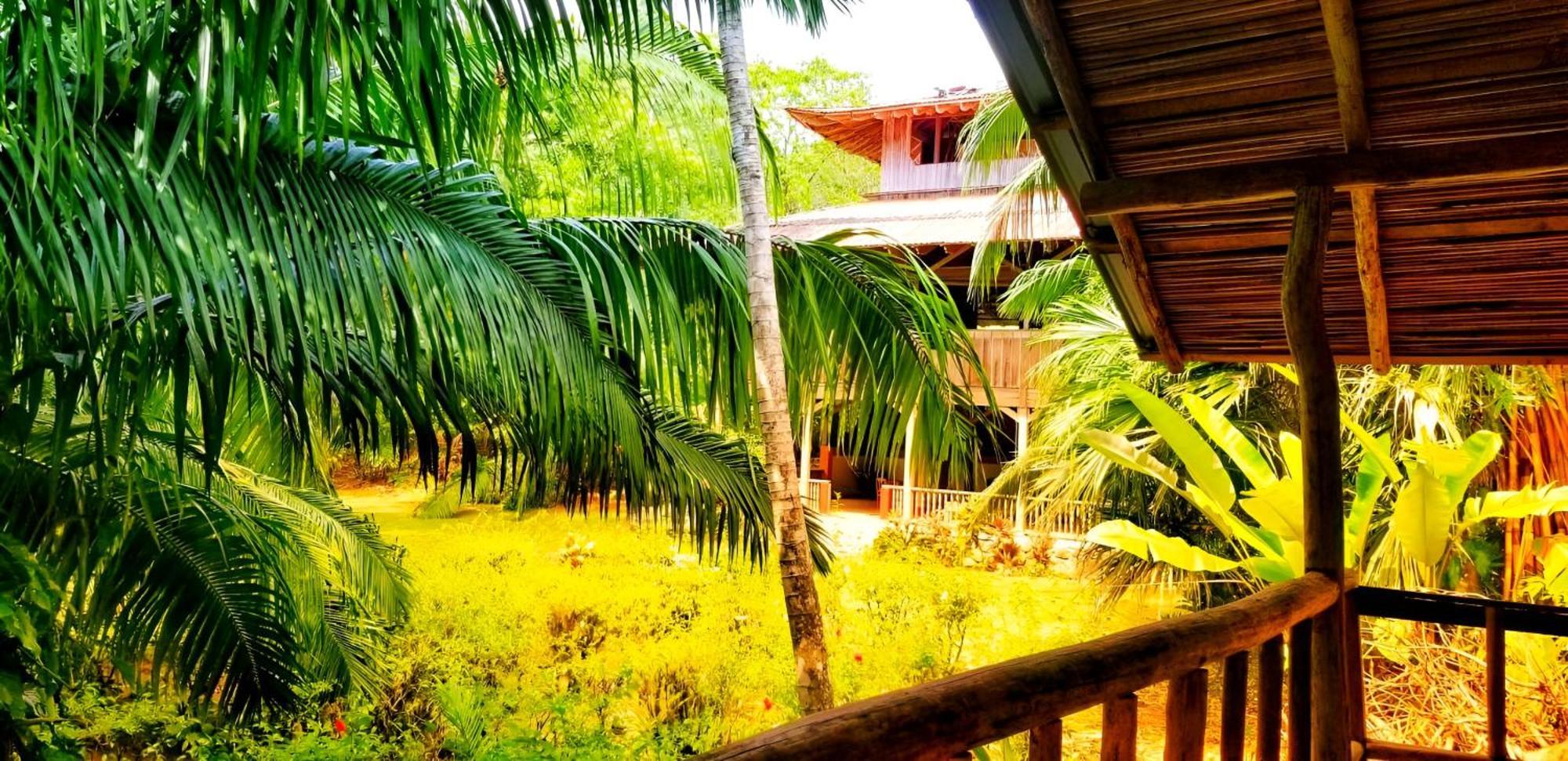 Ocean Forest Ecolodge San Pedrillo Екстериор снимка