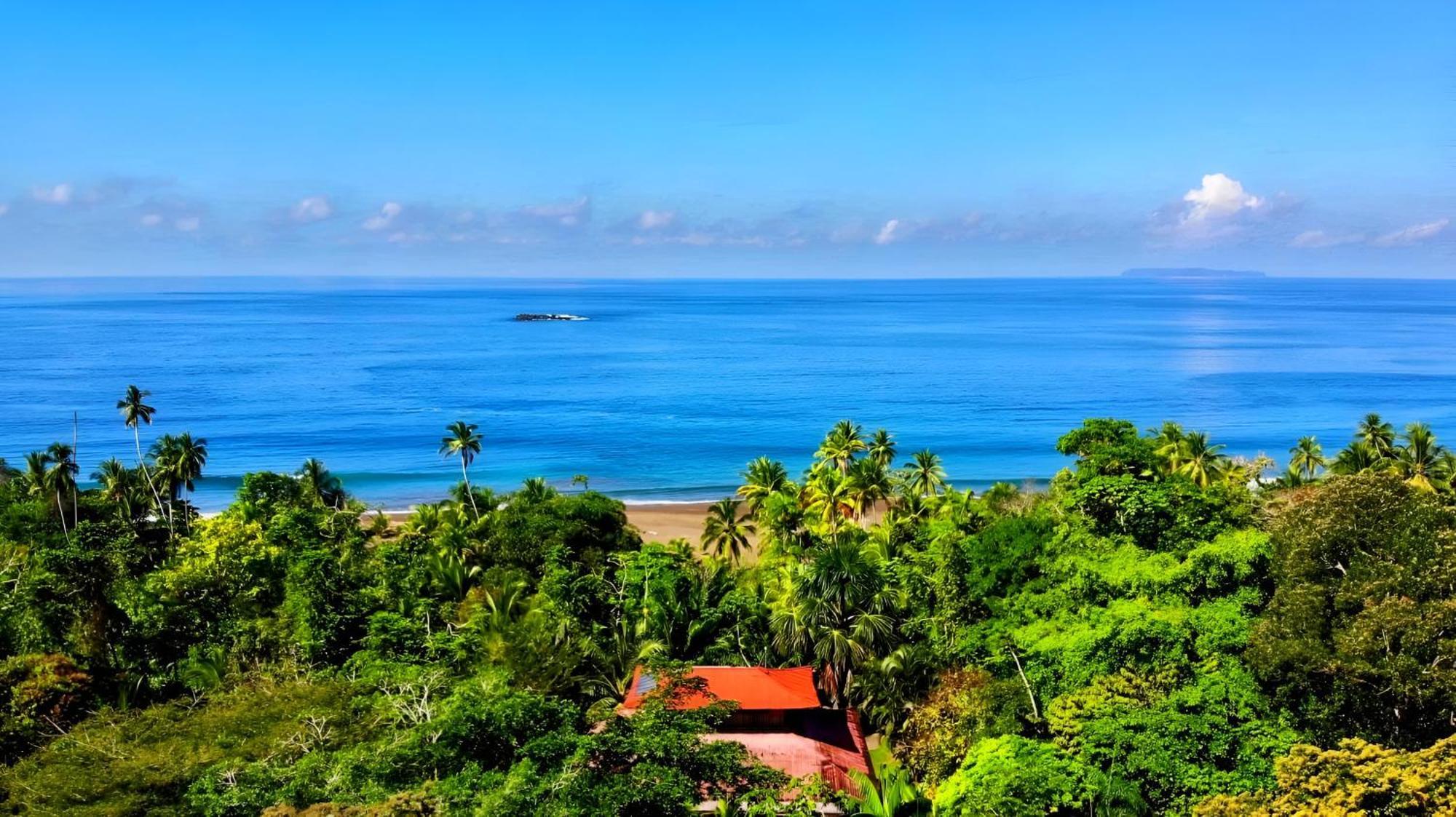 Ocean Forest Ecolodge San Pedrillo Екстериор снимка
