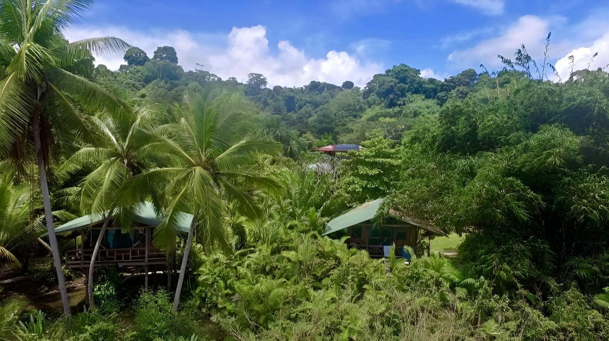 Ocean Forest Ecolodge San Pedrillo Екстериор снимка