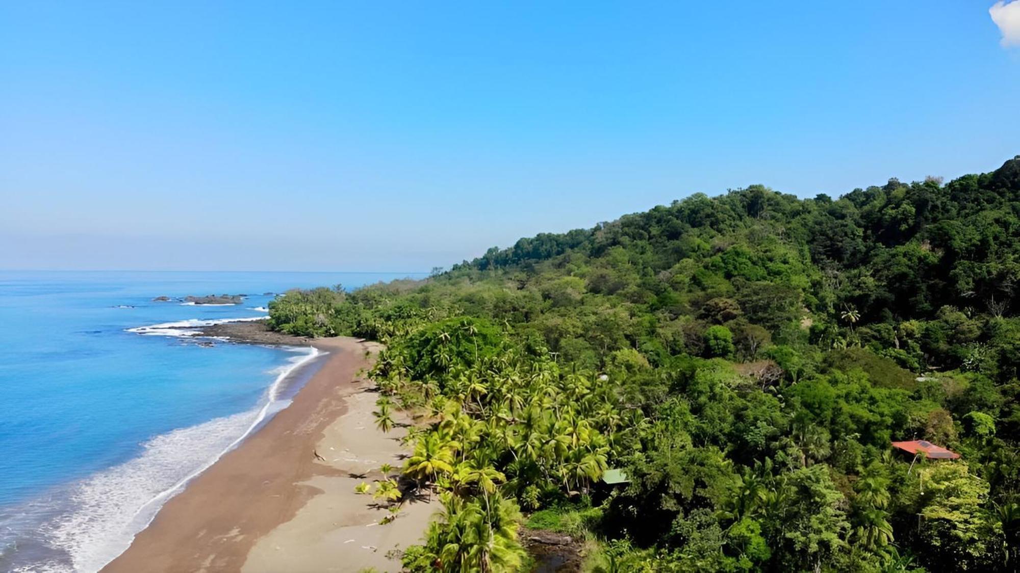 Ocean Forest Ecolodge San Pedrillo Екстериор снимка