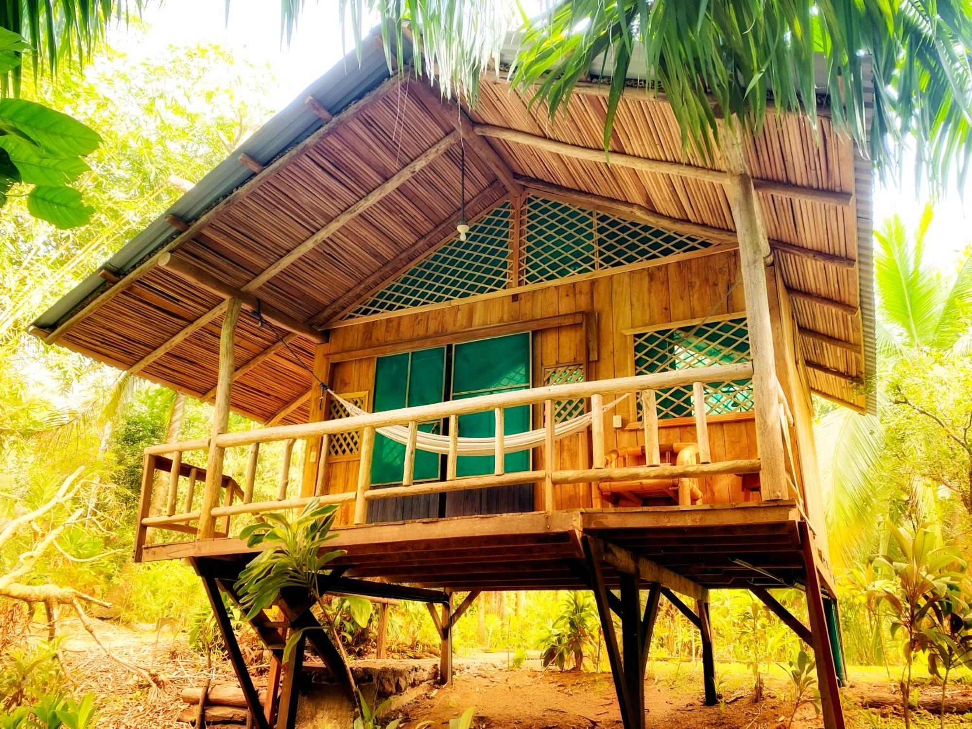 Ocean Forest Ecolodge San Pedrillo Екстериор снимка