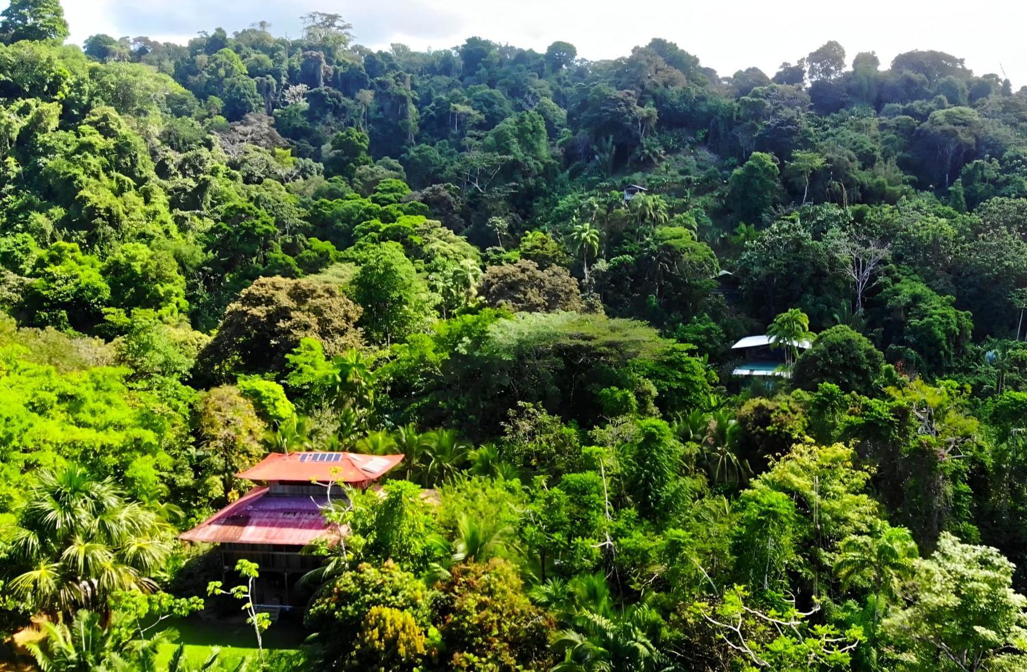 Ocean Forest Ecolodge San Pedrillo Екстериор снимка